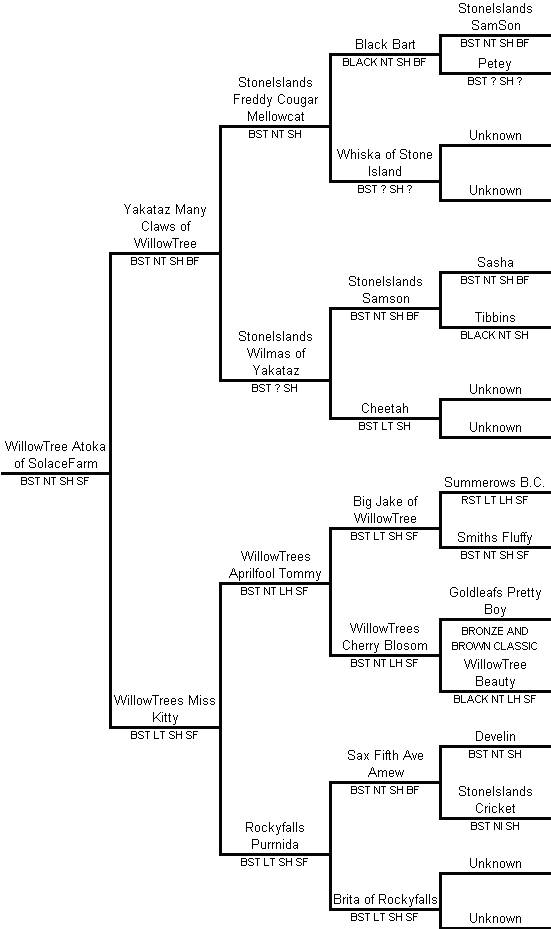 lineage.gif (10535 bytes)